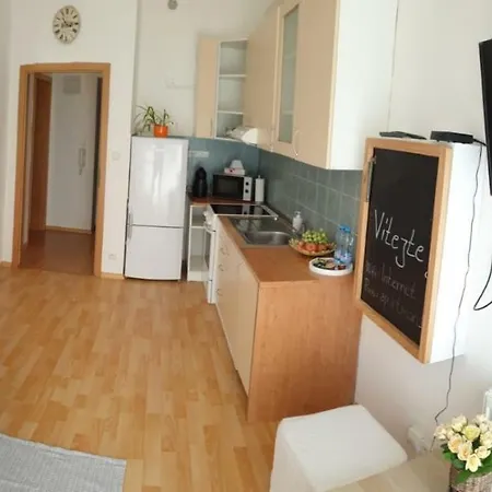 Apartman V Srdci Kv Karlovy Vary