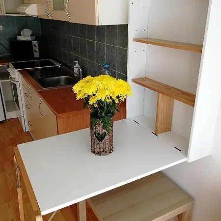 Apartman V Srdci Kv Apartament Karlowe Wary
