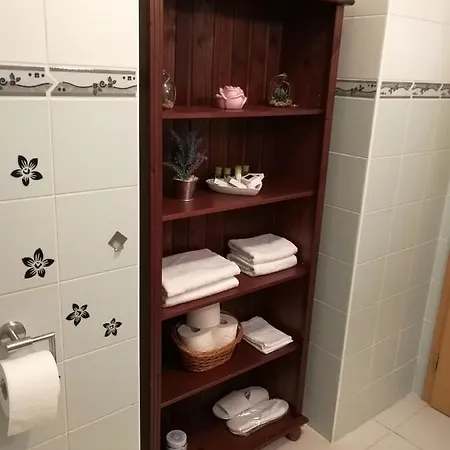 Apartman V Srdci Kv *