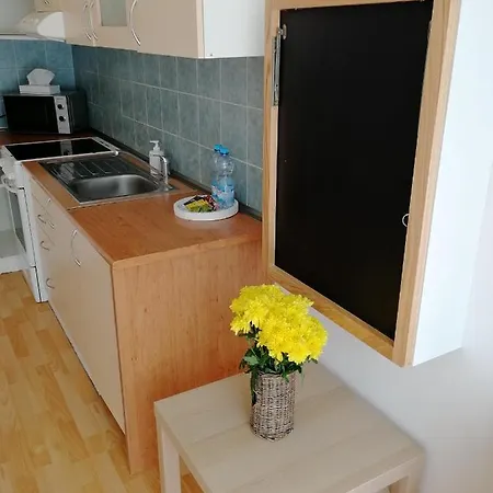 Lägenhet Apartman V Srdci Kv Karlovy Vary